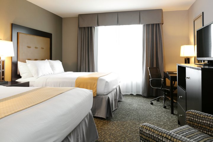 东皮奥里亚假日套房酒店(Holiday Inn and Suites East Peoria, an IHG Hotel)