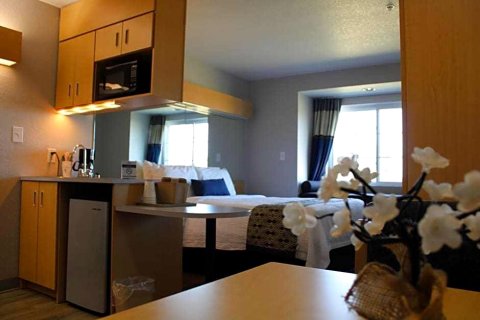 阿尔贝维尔温德姆麦克罗特套房酒店(Microtel Inn & Suites by Wyndham Albertville)