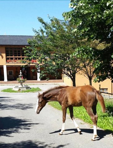 耶谷达艾贝塔乡村酒店(Hotel Rural Yeguada Albeitar)