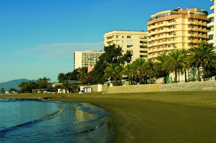 普林塞萨海滩公寓酒店(Hotel Apartamentos Princesa Playa)