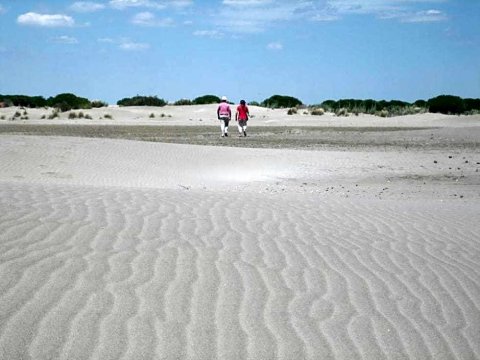 鲁洛特-加龙省纳诺丘酒店(La Nanou'Che (Roulotte en Camargue))