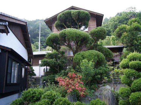 里山绿色旅游民宿(Green Tourism Satoyama)