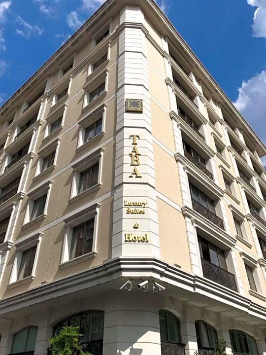 塔巴华丽套房酒店(Taba Luxury Suites and Hotel)