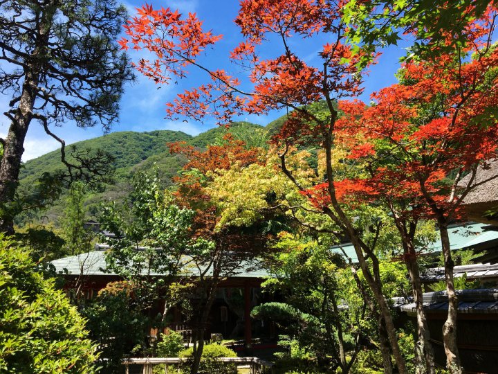 石苔亭日式旅馆(Sekitaitei Ishida)