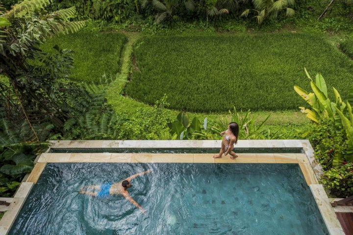 迪达里度假村乌布(Dedary Resort Ubud)