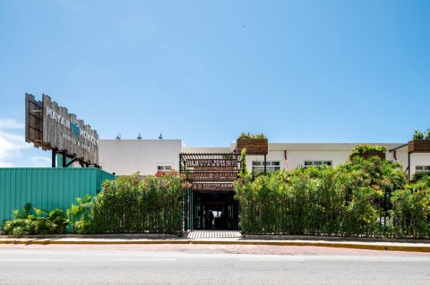 坎昆玛雅猴子酒店及青年旅舍(Mayan Monkey Cancun)