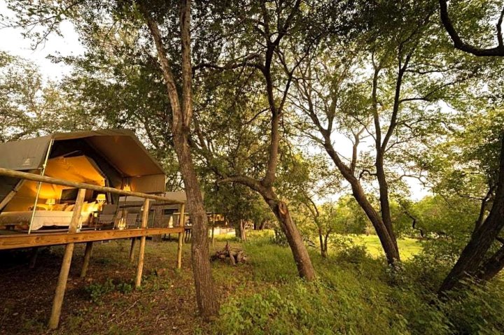 路基亚野生动物园营地酒店(Rukiya Safari Camp)