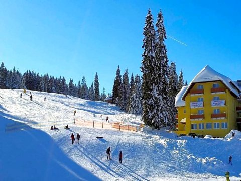 费尔德伯格酒店(Burg Hotel Feldberg)