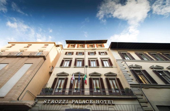 斯托洛兹皇宫酒店(Strozzi Palace Hotel)