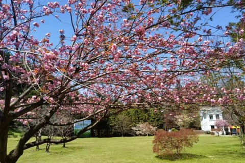 余姚四明山庄森林度假村