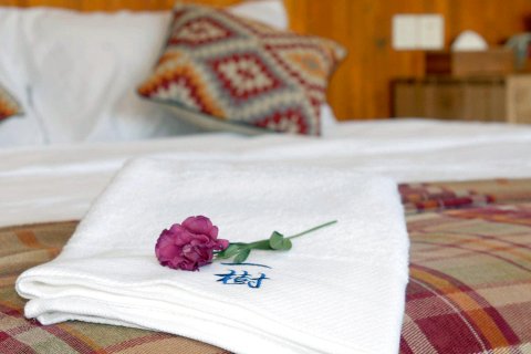 沙溪古镇至美·一树客栈