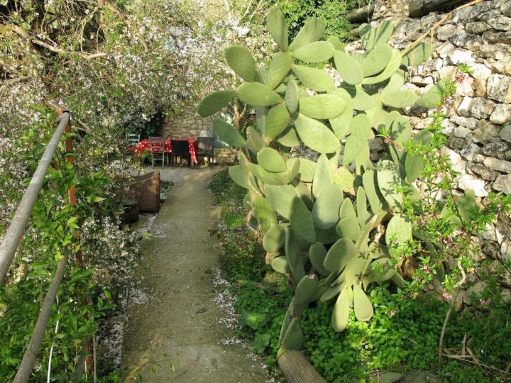 View of the Valley Guest House