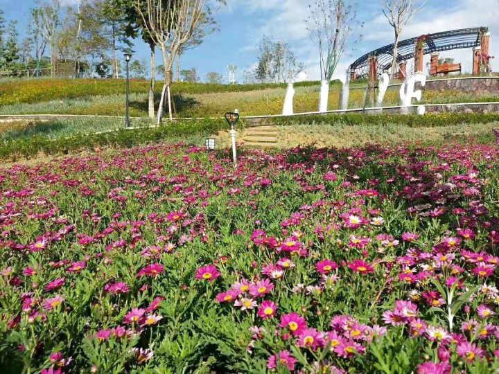 攀枝花秦秦阳光屋公寓