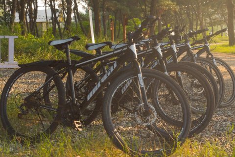 烟台爱往度假养马岛营地