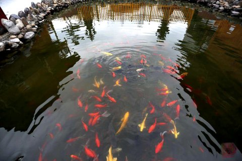 剑河温泉酒店(仰阿莎广场店)