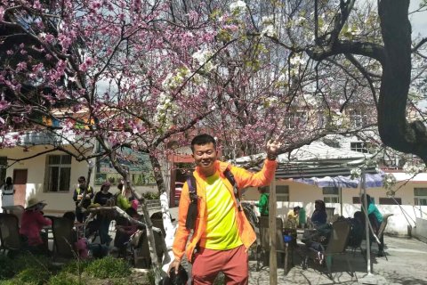 金川梨花休闲山庄