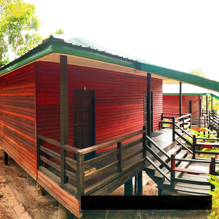 基纳巴坦冈野生动物旅馆(Kinabatangan Wildlife Lodge - Hostel)