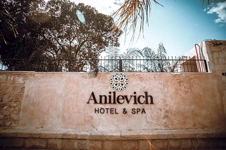 安纳利维齐公寓酒店(Hotel Anilevich Mansion)