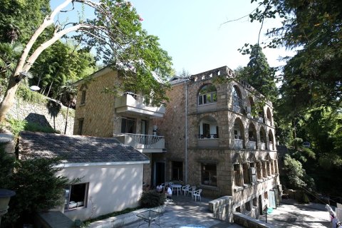 莫干山柒叶树下酒店