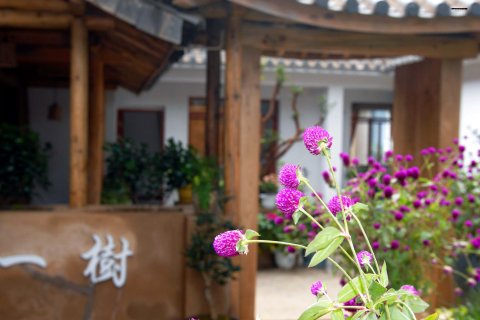 沙溪古镇至美·一树客栈