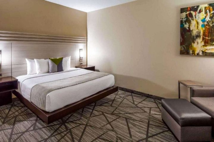 休斯顿 I-45 北 - IAH 凯富套房酒店(Comfort Inn & Suites Houston I-45 North - IAH)