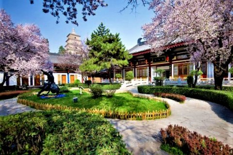 西安大唐博相府酒店(大雁塔大唐不夜城店)