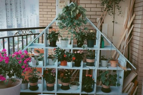 深圳happyroom快乐家园青年旅舍