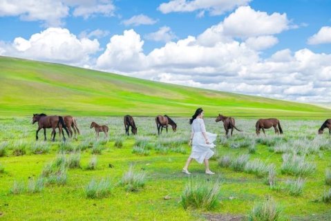 张北草原大酒店