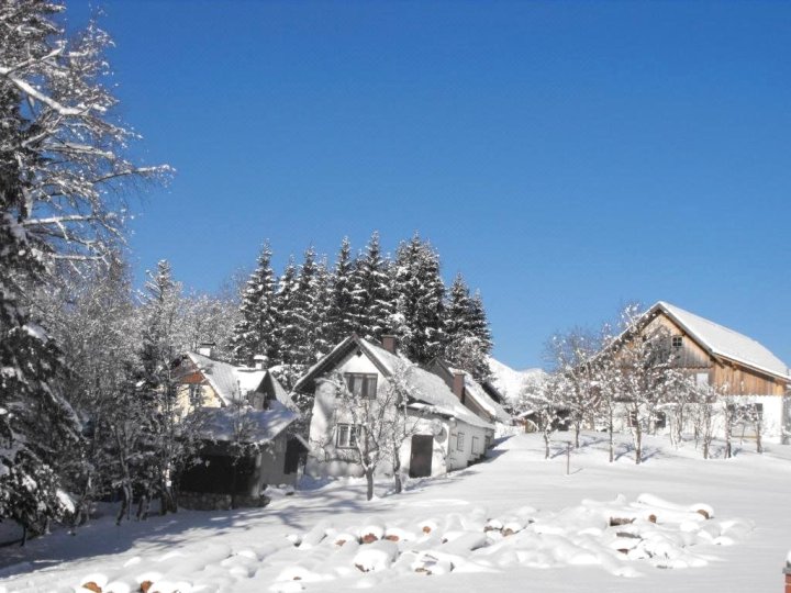 高山草甸假日公寓(Ferienwohnung Alpenwiesen)