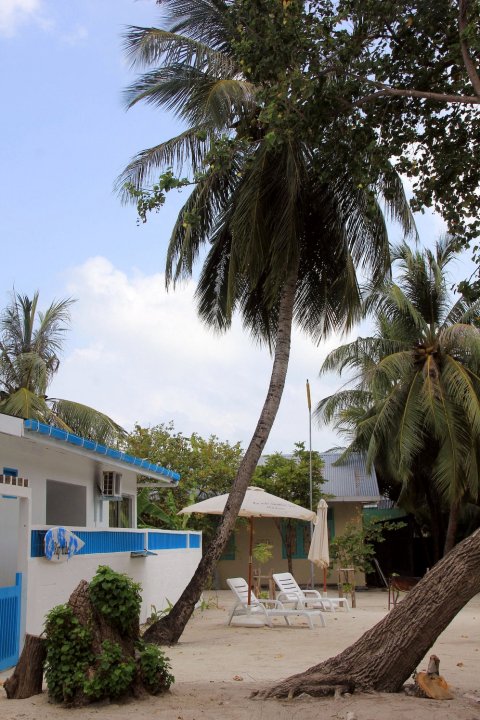 马尔代夫谷莱度瑞普潮度假酒店(Rip Tide Vacation Inn, K.Guraidhoo Maldives)