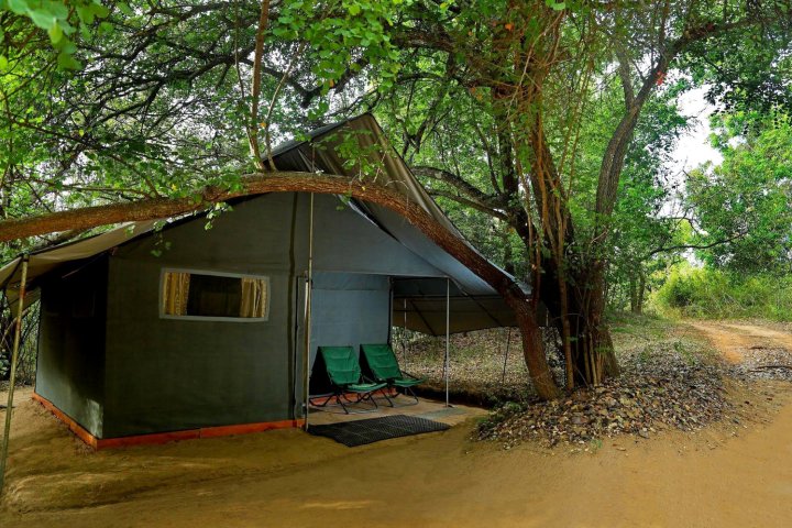 兰卡大师营地酒店(Master Campers Lanka)