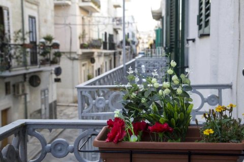 滨海波利尼亚诺老屋公寓(Old Town House Polignano a Mare)