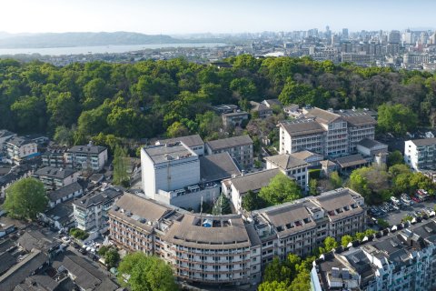 杭州西湖湖滨河坊街丽正门酒店