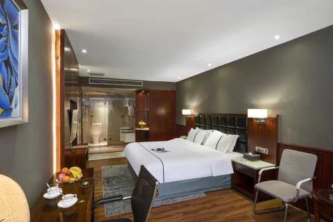 银座假日酒店(醴陵商业步行街店)