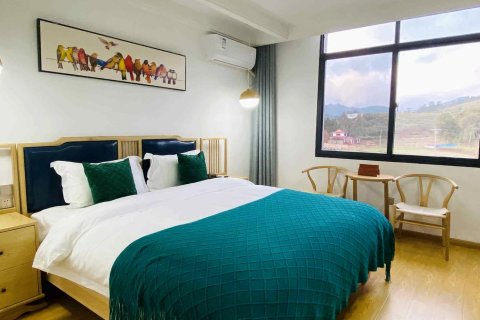 武功山云隐山居(游客中心店)