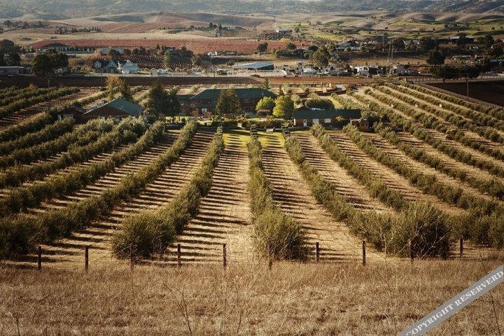 紫兰花酒乡水疗度假村(The Purple Orchid Wine Country Resort & Spa)