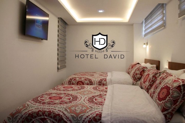 大卫旅馆(Hotel David)