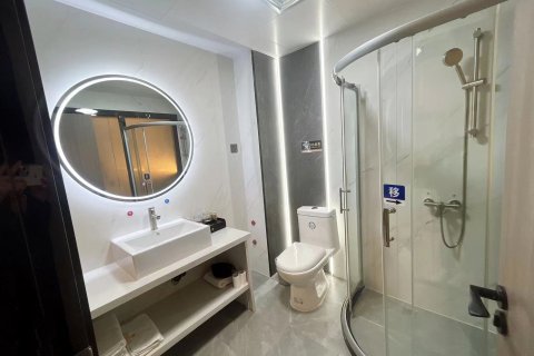 阿拉尔银都假日酒店(胜利大道店)