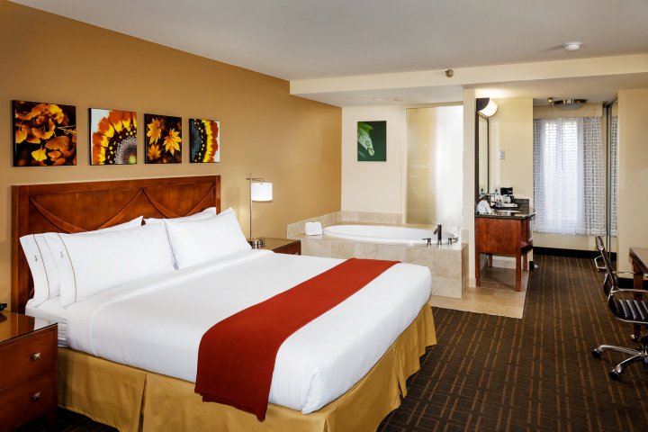 西米谷智选假日酒店(Holiday Inn Express Simi Valley, an IHG Hotel)