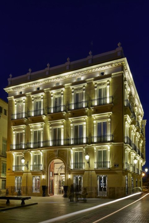 威里尔皇宫酒店(Myr Palacio Vallier)