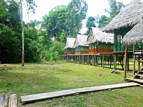 亚马逊亚纳亚库小屋(Amazon Yanayacu Lodge)