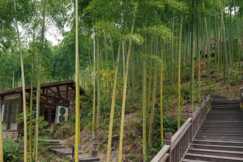 莫干山竹言溪语民宿