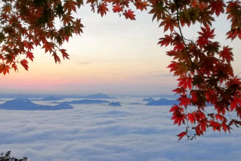 宽甸刘老三农家院