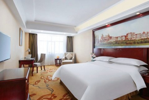 维也纳酒店(颍上迎宾大道管仲老街店)