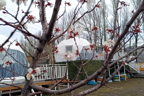 那拉提唐顿庄园