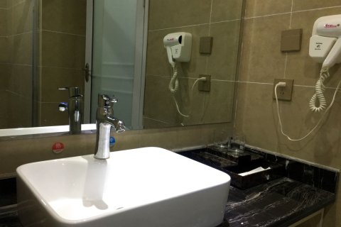 桃江桃花美人艺术酒店