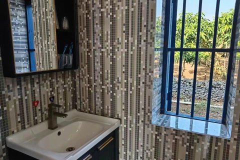 南极村珊瑚海韵民宿