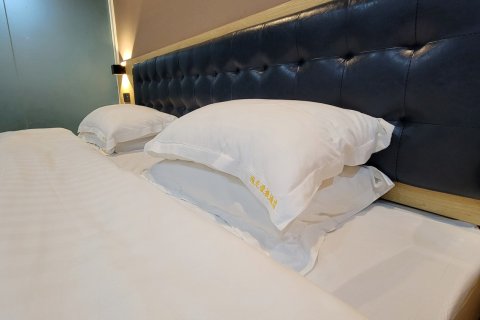 藤县维尼便捷酒店