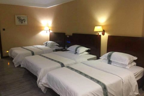 阳江嘉悦大酒店(沃尔玛粤运总站店)