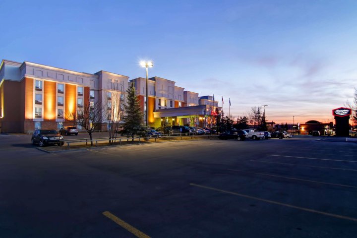 希尔顿卡尔加里机场欢朋套房酒店(Hampton Inn & Suites by Hilton Calgary-Airport)